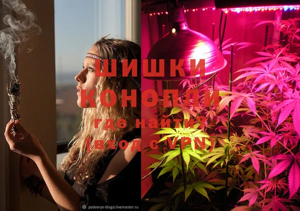 стафф Бугульма